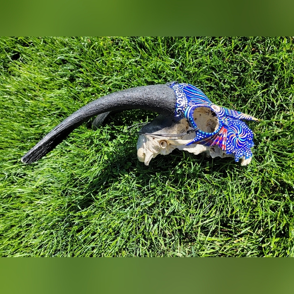 Real Handpainted Large Goat Skull - Picture 13 of 16